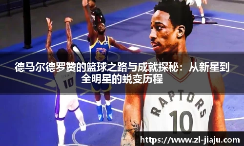 星空综合体育官网